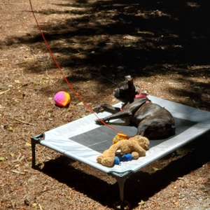 Fundraising Page: S Kielty